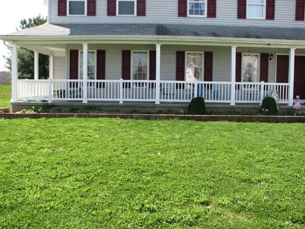 Custom yard cleanup service near you across Warren, OH - Bare Root Landscaping