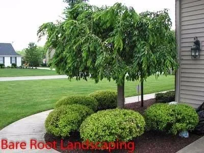 Expert landscape design for outdoor upgrades in Warren, OH by Bare Root Landscaping