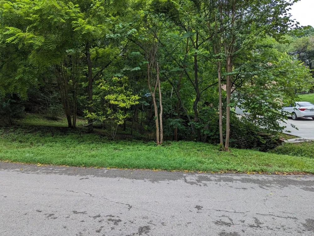 Top-rated landscape design experts serving Dallas, TX - Bare Roots Landscape Solutions