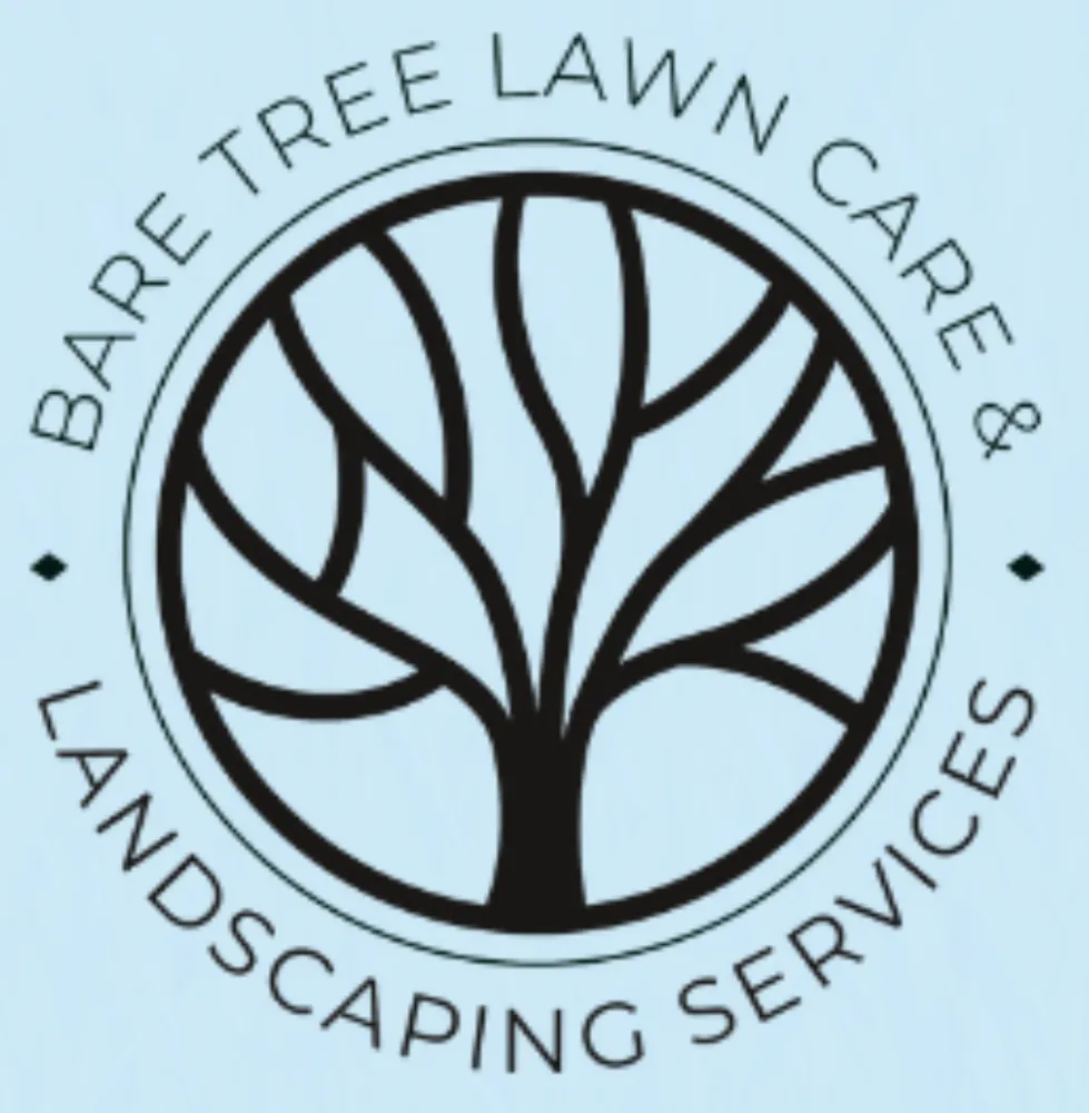 Top-rated lawn mowing service for year-round maintenance across Black Mountain, NC - Bare Tree Lawn Care & Landscaping