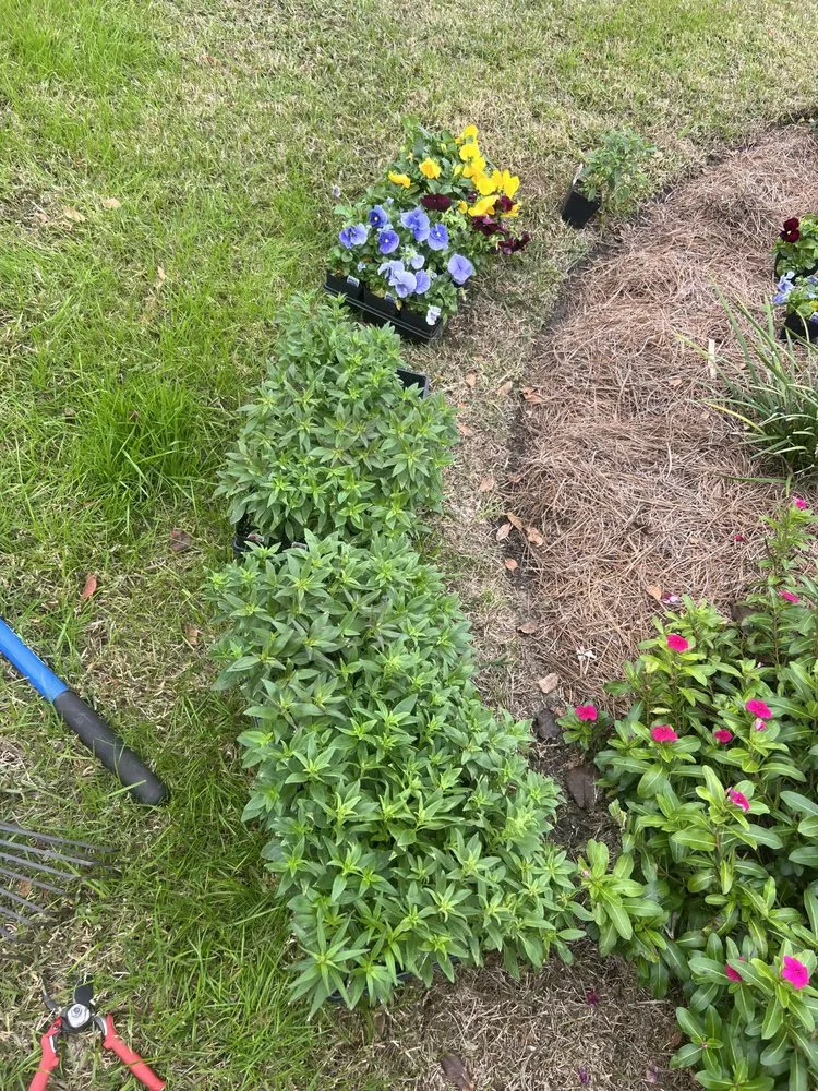 Custom yard maintenance experts serving Ponchatoula, LA - Barefoot Gardeners