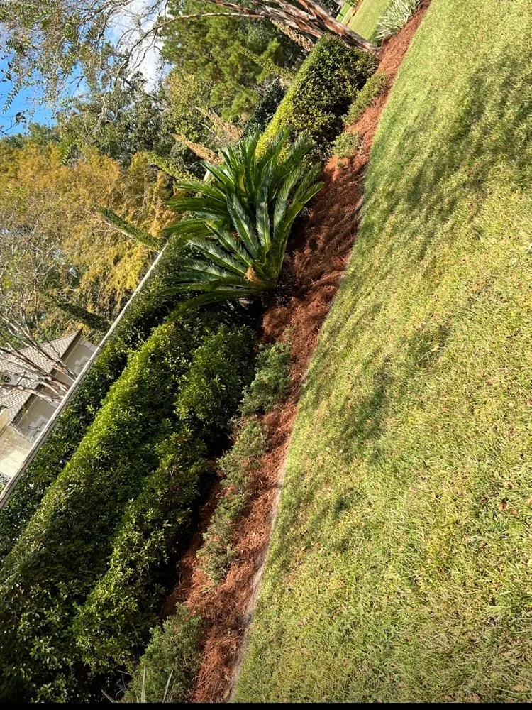 Top-rated landscaping services for year-round maintenance in Ponchatoula, LA by Barefoot Gardeners