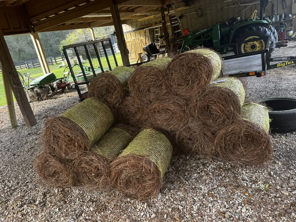 Local landscape design with custom design in Ponchatoula, LA by Barefoot Gardeners