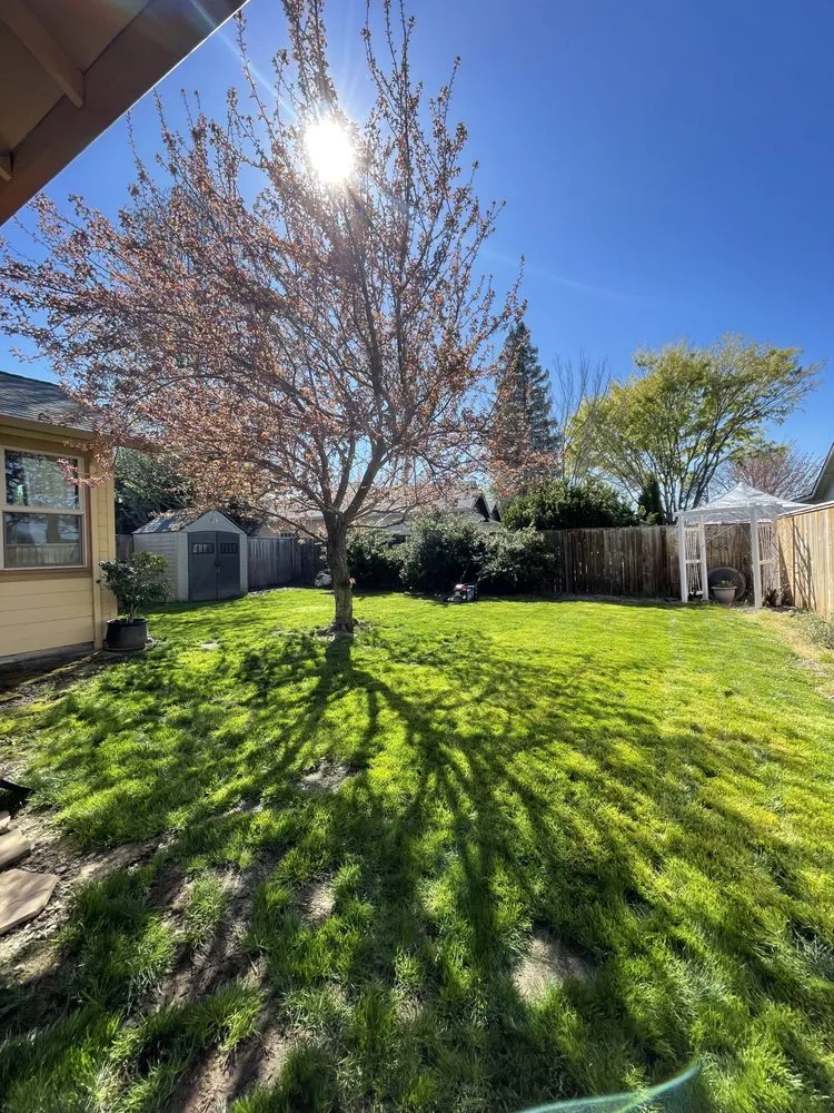 Affordable lawn care service near you across Medford, OR - Barefoot Gardens Lawn Care