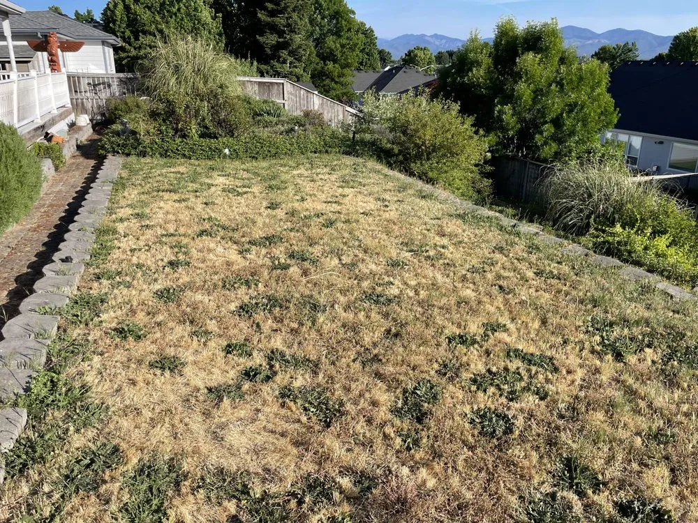 Expert yard maintenance experts serving Medford, OR - Barefoot Gardens Lawn Care