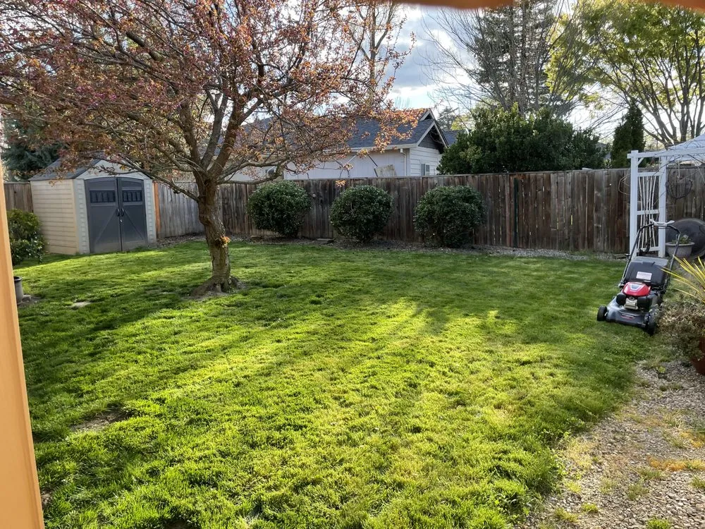 Reliable landscape design experts serving Medford, OR - Barefoot Gardens Lawn Care