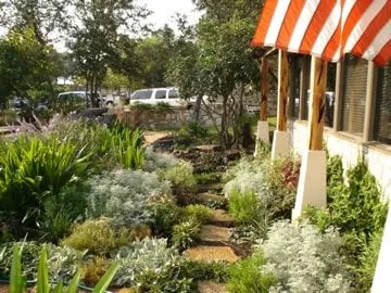 Expert lawn mowing service near you in San Antonio, TX by Barefoot Genius Landscape