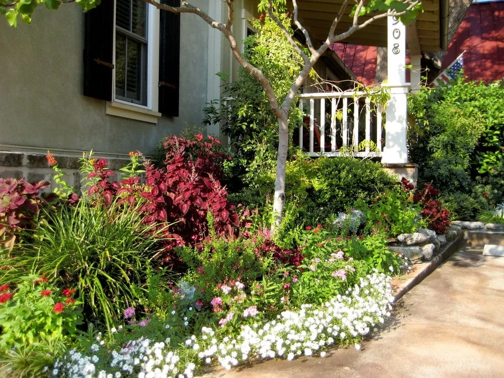 Expert residential landscaping in San Antonio, TX - Barefoot Genius Landscape