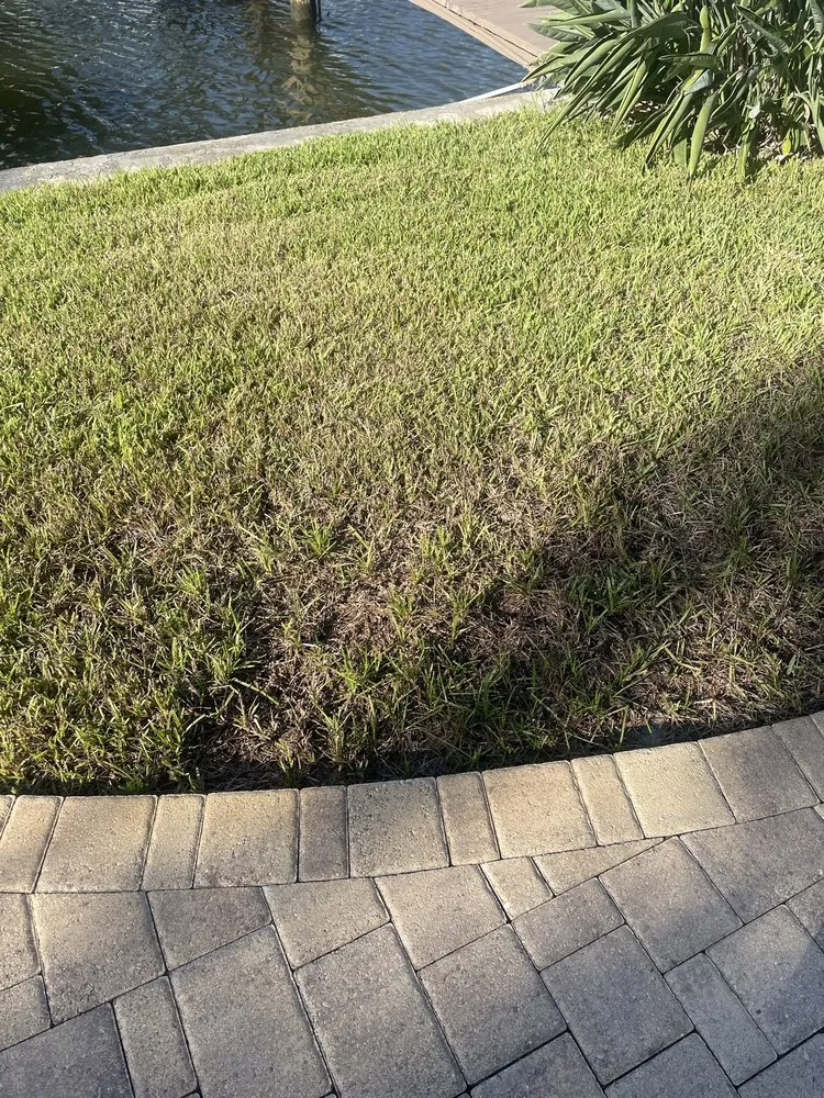 Top-rated yard maintenance for residential properties in Largo, FL by Barefoot Grass