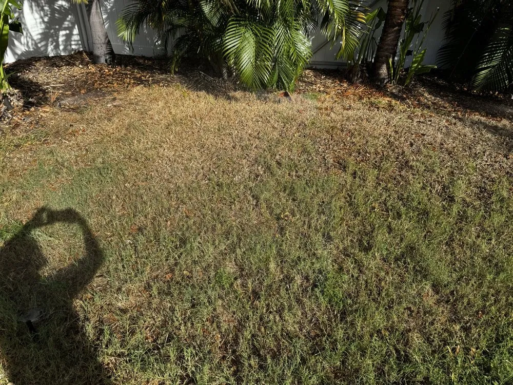 Professional lawn care service with custom design in Largo, FL by Barefoot Grass