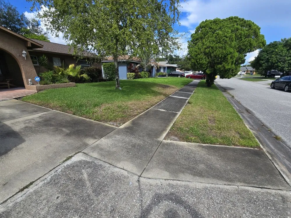 Custom garden landscaping in Largo, FL - Barefoot Grass