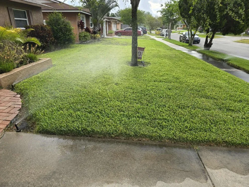 Affordable landscape design in Largo, FL by Barefoot Grass