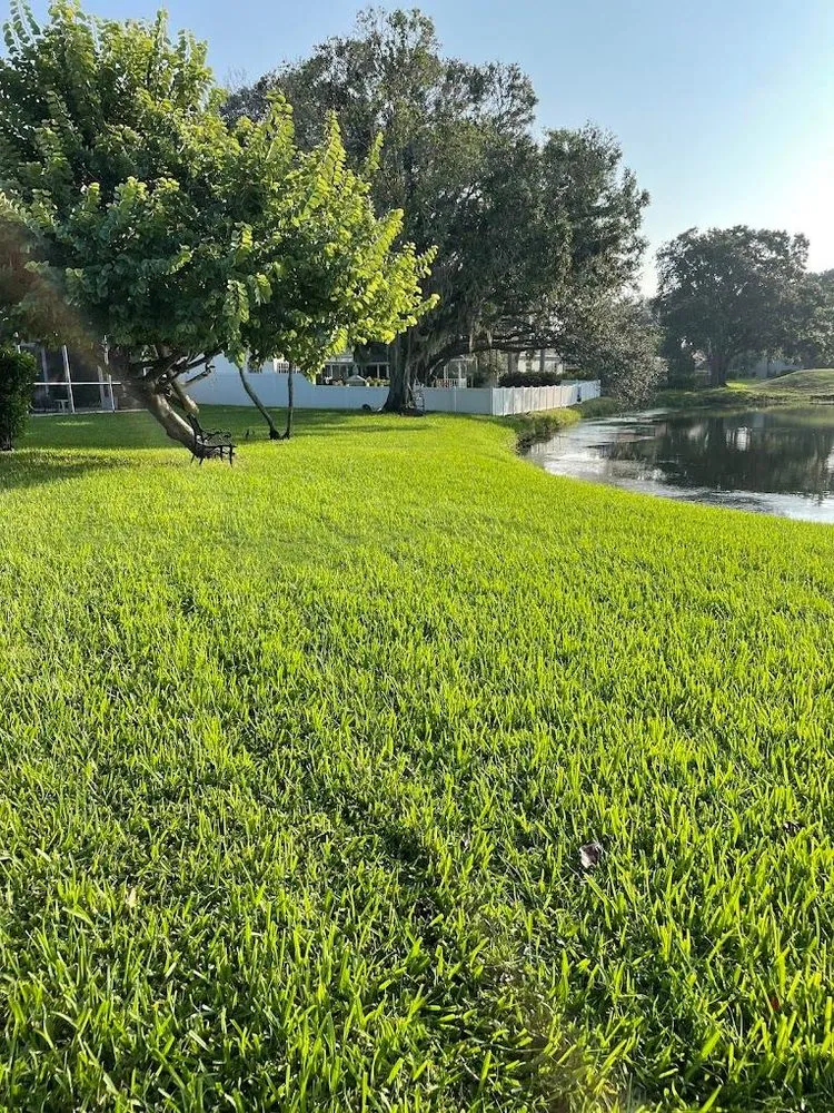Expert lawn mowing service for year-round maintenance in Largo, FL by Barefoot Grass