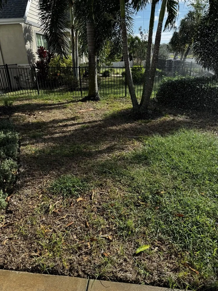 Affordable garden landscaping in Largo, FL - Barefoot Grass