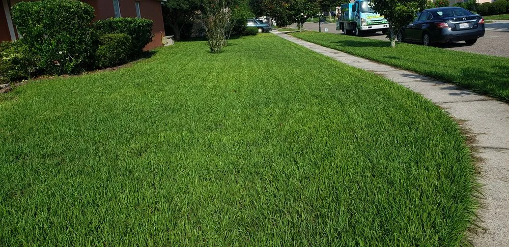 Expert lawn care service for outdoor upgrades in Largo, FL by Barefoot Grass