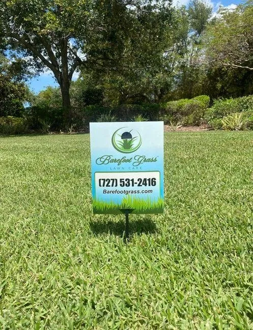 Expert yard maintenance for year-round maintenance in Largo, FL by Barefoot Grass