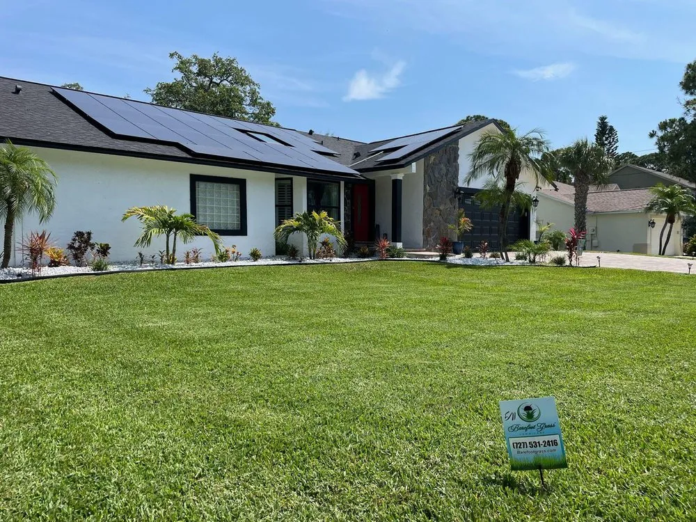 Expert yard cleanup service in Largo, FL by Barefoot Grass