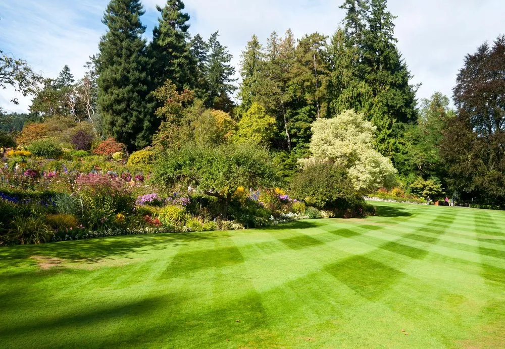 Affordable lawn care service near you in Largo, FL by Barefoot Grass