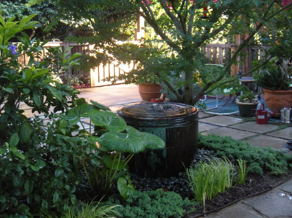 Local outdoor landscaping in Los Angeles, CA - Barefoot Landscape