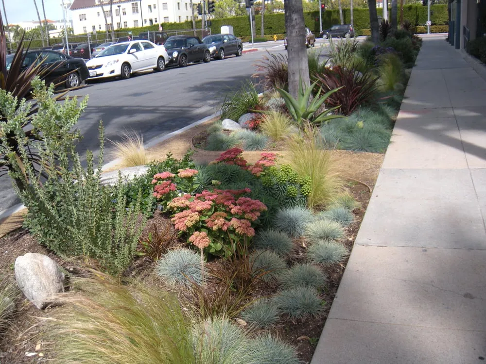 Custom yard maintenance in Los Angeles, CA by Barefoot Landscape