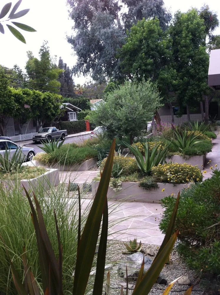 Top-rated lawn care service in Los Angeles, CA - Barefoot Landscape