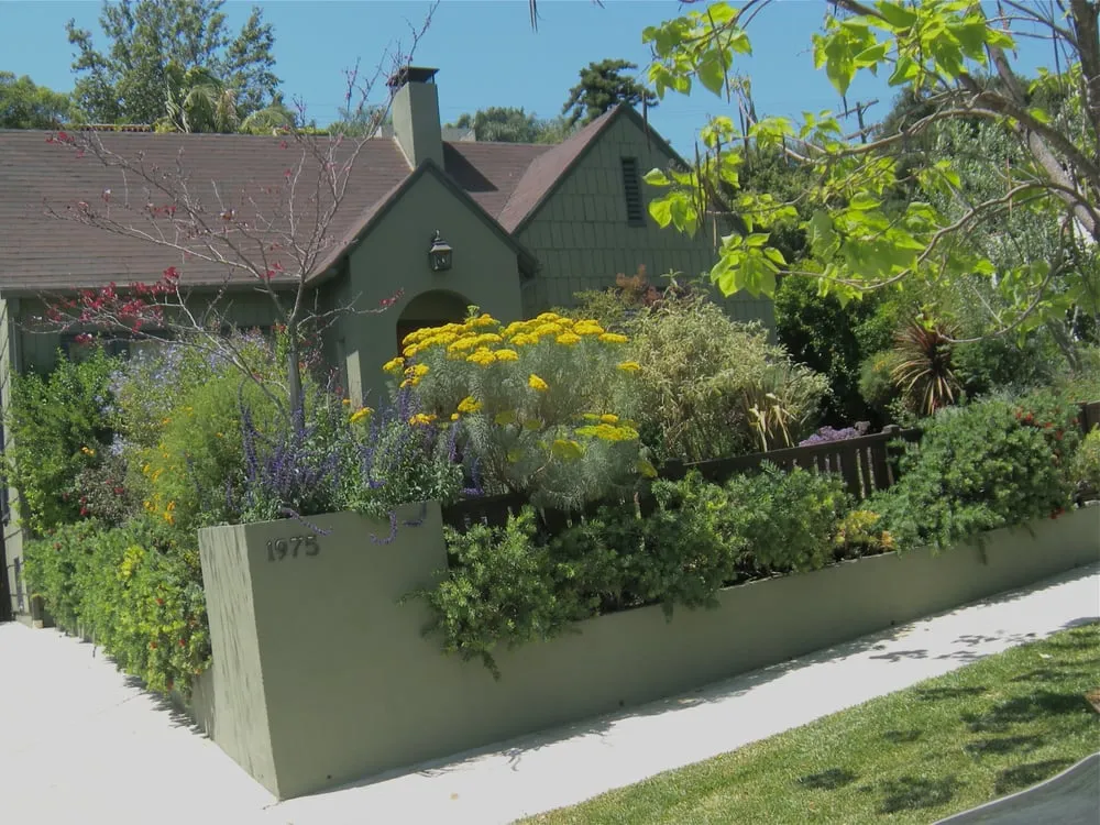 Custom lawn care service for beautiful yards in Los Angeles, CA by Barefoot Landscape