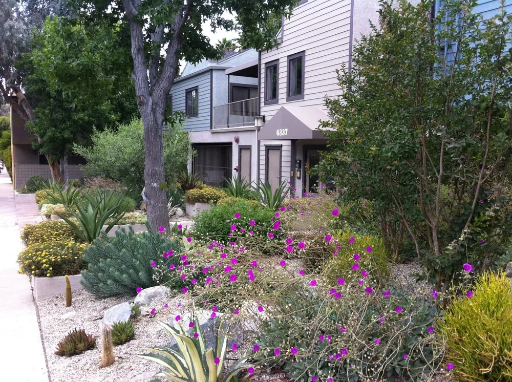 Custom residential landscaping in Los Angeles, CA - Barefoot Landscape