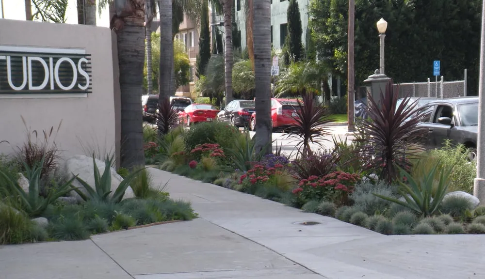 Local yard maintenance experts serving Los Angeles, CA - Barefoot Landscape