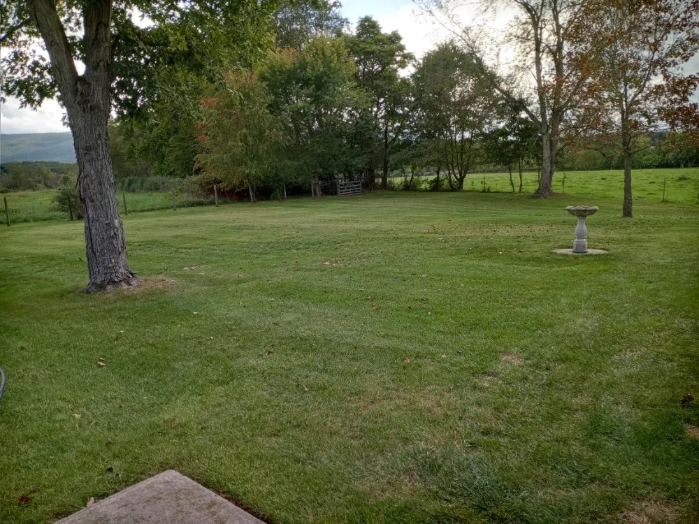 Professional lawn care service in Harrisonburg, VA by BareFoot LandScapes