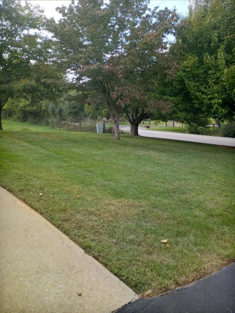 Professional landscape installation for year-round maintenance in Harrisonburg, VA by BareFoot LandScapes