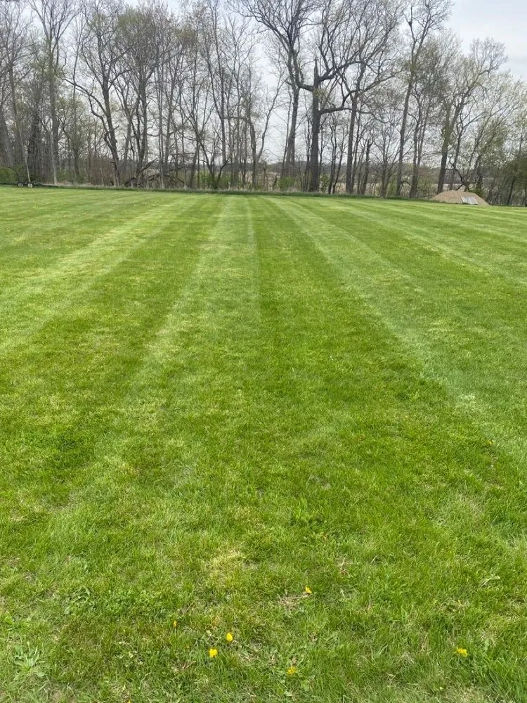 Local lawn mowing service in Red Bay, AL - Barefoot Lawn Care