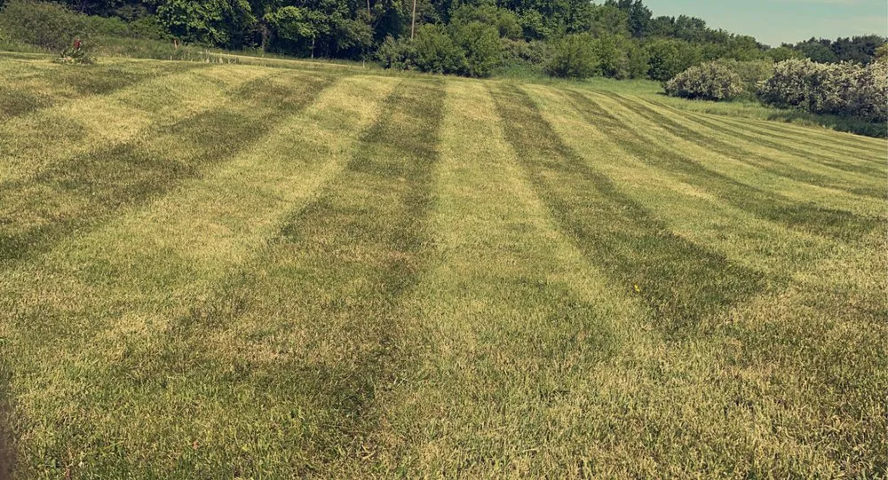 Top-rated lawn mowing service for outdoor upgrades across Red Bay, AL - Barefoot Lawn Care