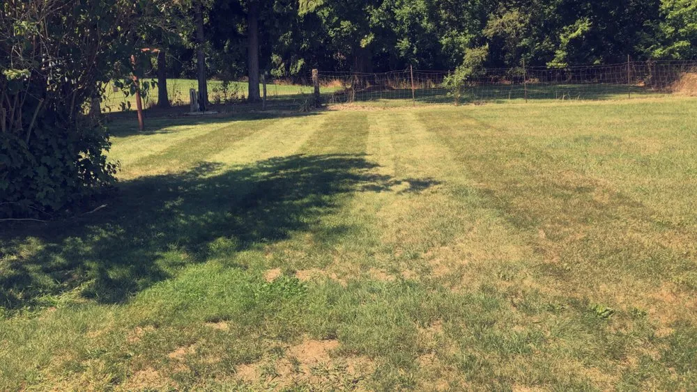 Local outdoor landscaping experts serving Red Bay, AL - Barefoot Lawn Care