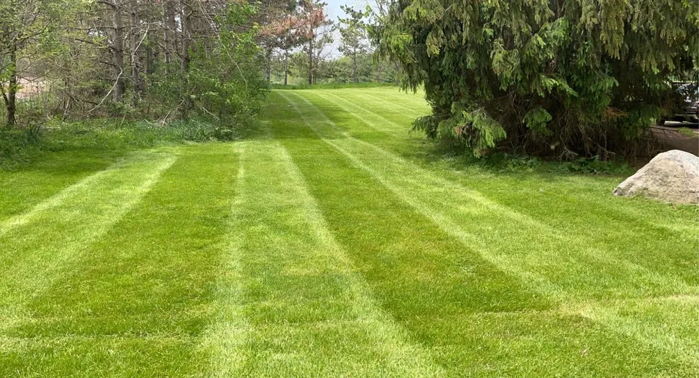 Reliable lawn mowing service in Red Bay, AL by Barefoot Lawn Care