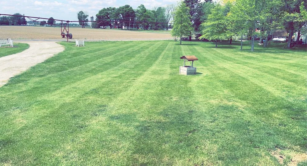 Top-rated yard cleanup service in Red Bay, AL by Barefoot Lawn Care