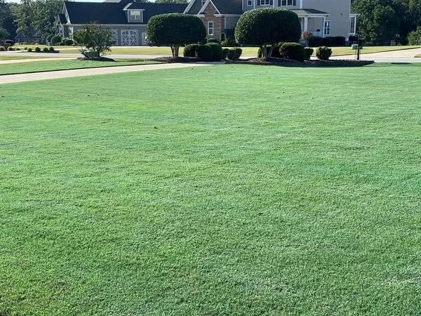 Trusted landscaping services experts serving Shallotte, NC - Barefoot Lawn Care