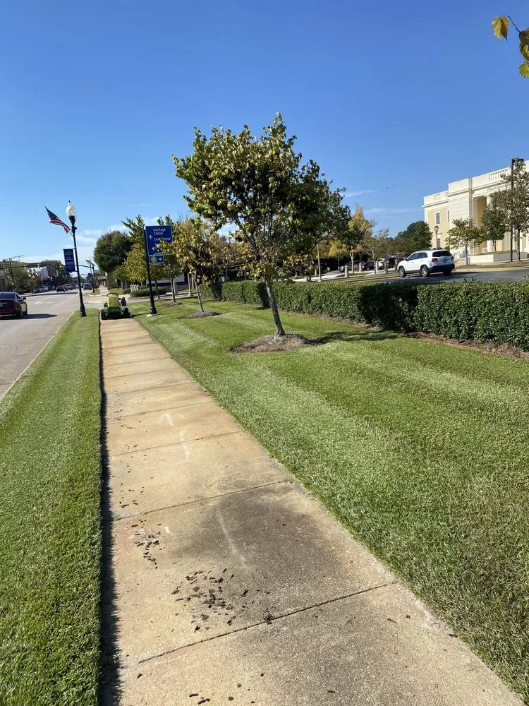 Local yard cleanup service in Smithfield, NC - Barefoot Lawn Care