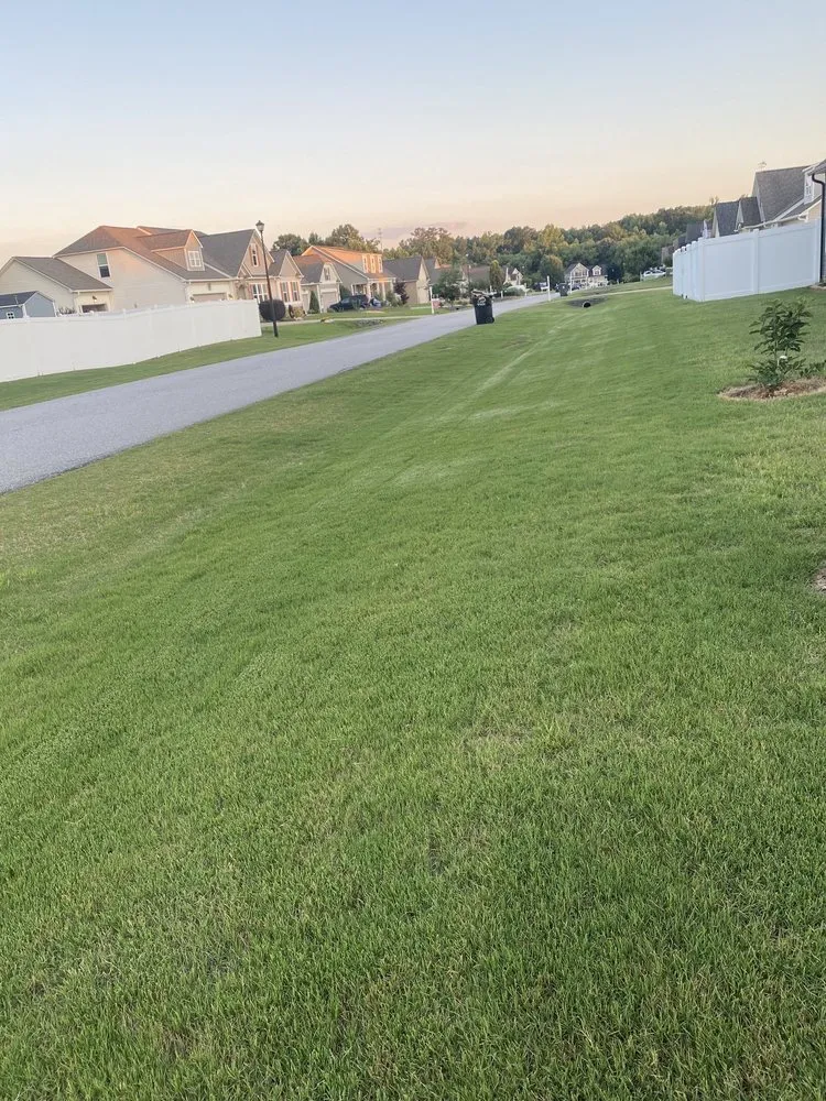 Top-rated outdoor landscaping experts serving Smithfield, NC - Barefoot Lawn Care