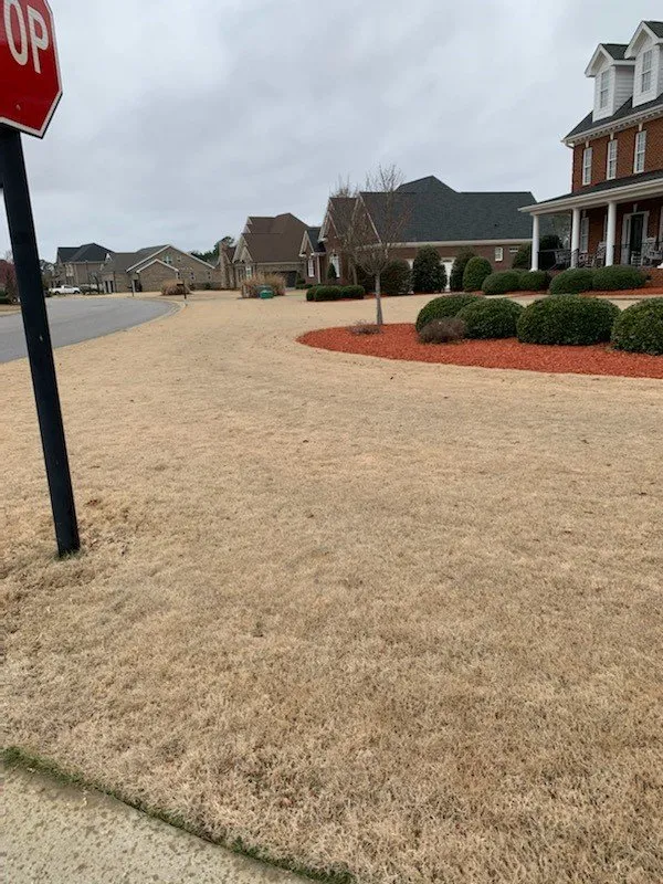 Affordable lawn mowing service experts serving Smithfield, NC - Barefoot Lawn Care