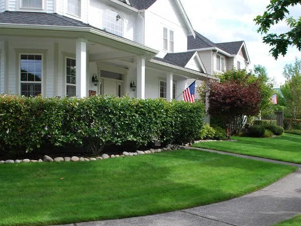 Custom outdoor landscaping in Olympia, WA by Barefoot Lawn