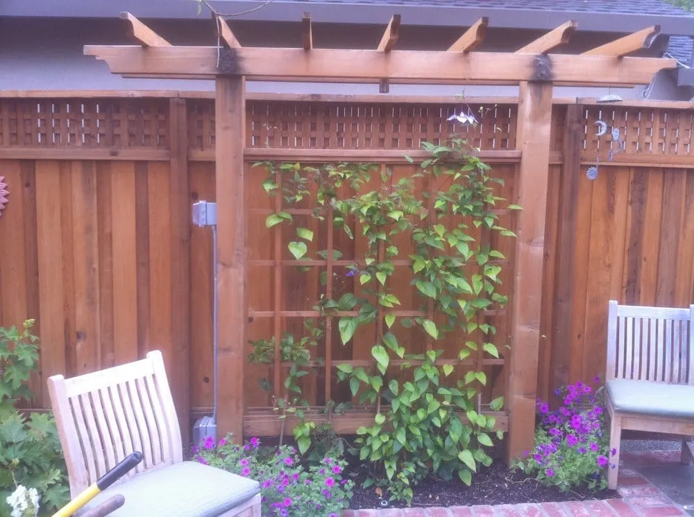 Affordable lawn care service in Cupertino, CA - Barefoot Lawns & Landscaping