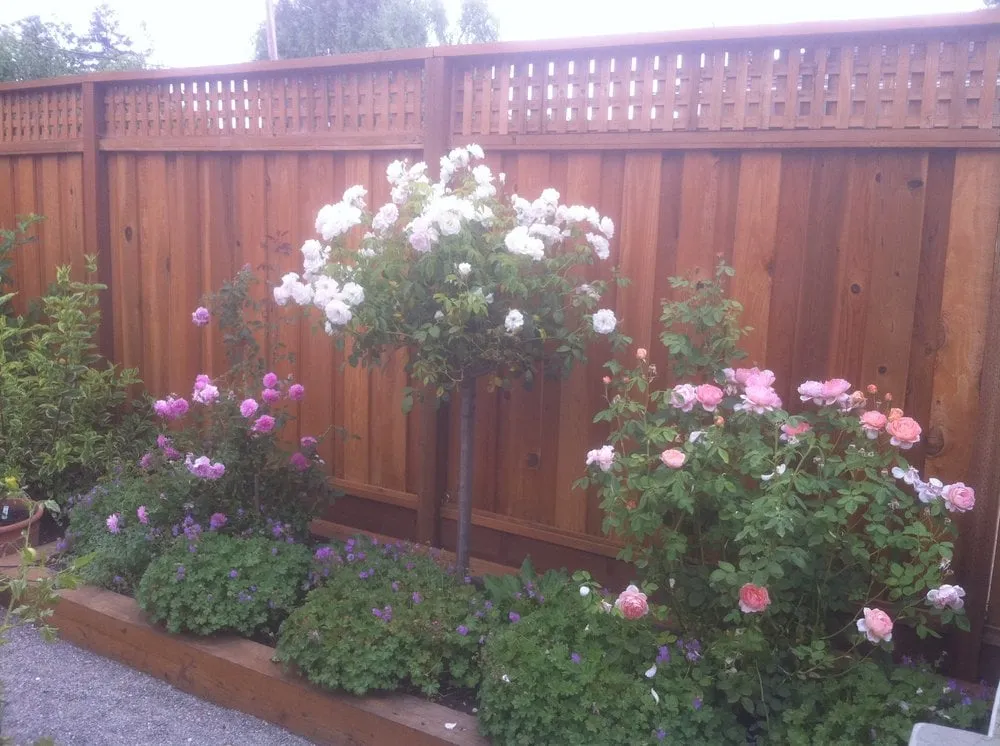 Professional landscape installation near you across Cupertino, CA - Barefoot Lawns & Landscaping