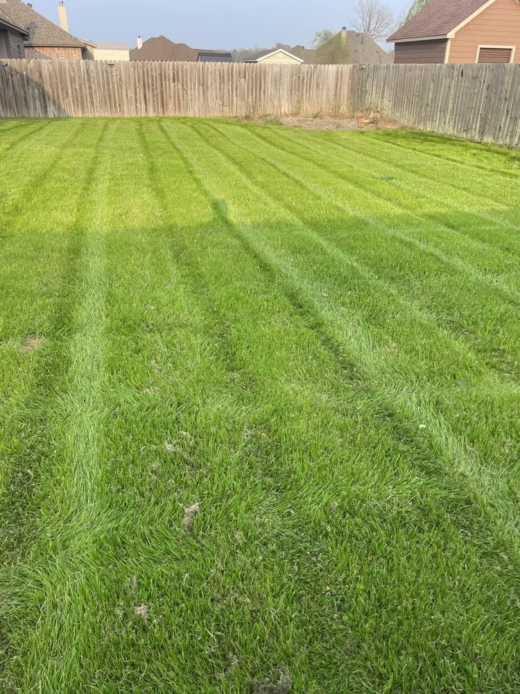 Expert garden landscaping for beautiful yards across Shreveport, LA - Barefoot Lawns & Lights