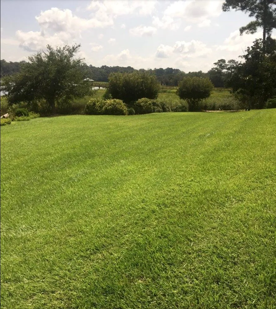 Affordable landscape design in Hilton Head Island, SC - Barefoot Lawns