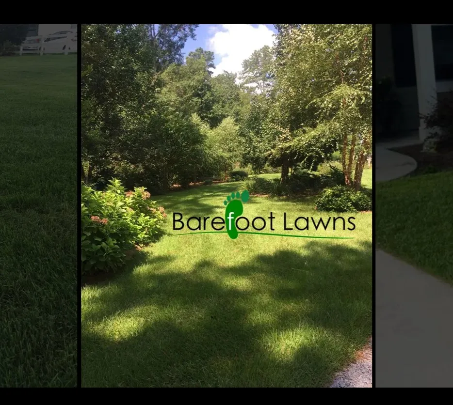 Custom landscape installation near you across Hilton Head Island, SC - Barefoot Lawns