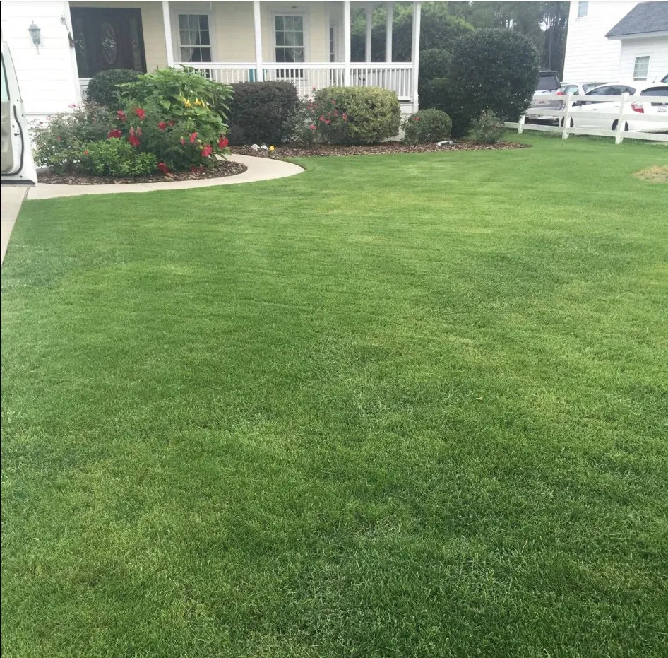 Reliable landscape design in Hilton Head Island, SC by Barefoot Lawns