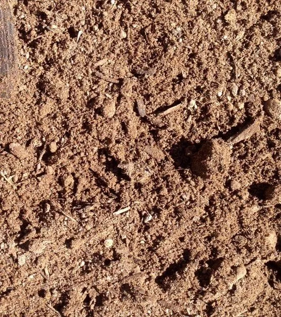 Affordable yard cleanup service in Albuquerque, NM - Barela Landscaping Materials