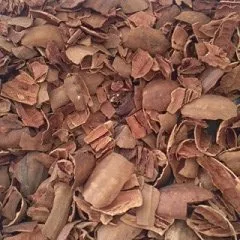 Top-rated yard maintenance in Albuquerque, NM by Barela Landscaping Materials