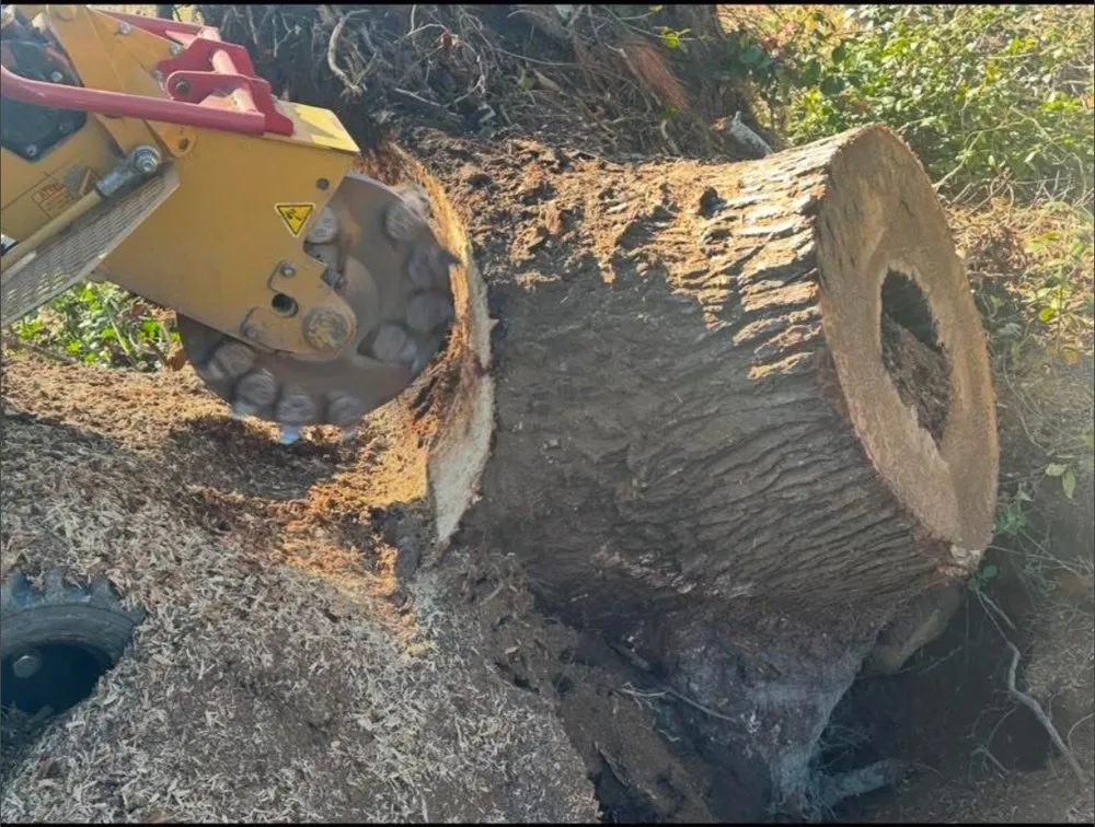 Top-rated landscape installation in Grovetown, GA - Barfield's Ground Control