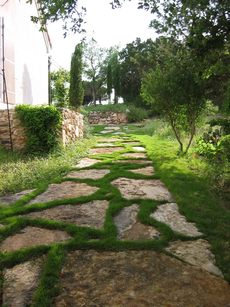 Reliable yard cleanup service for year-round maintenance in Austin, TX by Barger Brenda Landscape Design